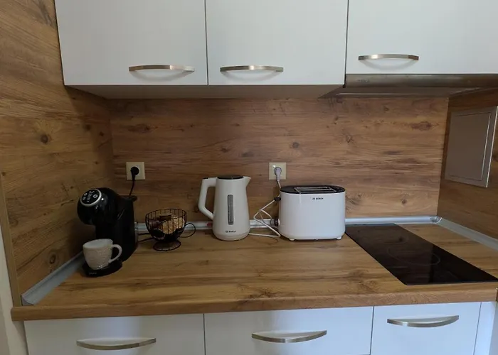 Апартаменты Viktorsapartment